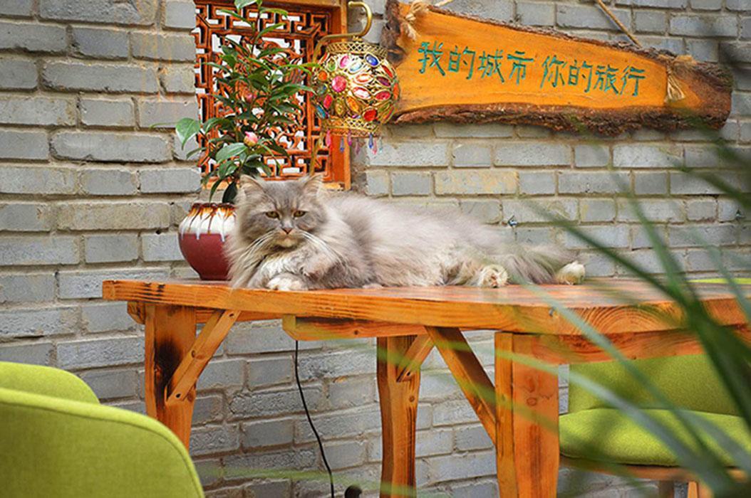 Luoyang Longmen Youth Hostel Exterior foto
